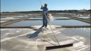 Noirmoutier  Les marais salants [upl. by Stefa]