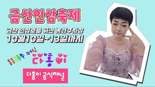 10월 13일 금산 마지막 공연 다홍이품바 금산인삼축제 [upl. by Friede]