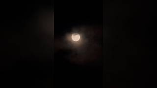 The Last Moon iPhone Zoom Lens shorts nasa yt ytshorts [upl. by Aneelehs]