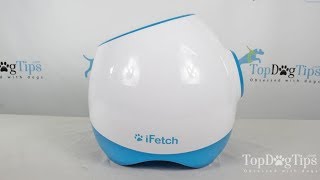 Ifetch Too Interactive Ball Launcher for Dogs Review 2018 [upl. by Atoked]