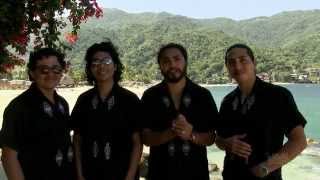 Puerto Vallartas very own Los Bambinos four brothers one beautiful sound [upl. by Eicirtap]