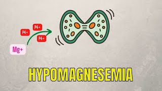 Hypomagnesemia Pathophysiology Causes Diagnosis and Treatment [upl. by Narot436]