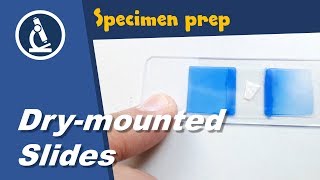 🔬 Making drymounted permanent microscopy slides [upl. by Vinny]