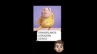 AVANCE HISTÓRICO humano con CORAZÓN de cerdo TRANSPLANTADO shorts [upl. by Orihakat299]