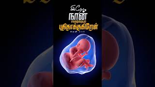 Thayin karuvil uruvanatamil Christian song statusjesus song statusshortsbible wordsvasanamstor [upl. by Aicilyt]