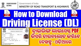 Odisha How to Download Final quotDLquot Driving License PDF in 1Click  ଦେଖନ୍ତୁ ଓଡ଼ିଆରେ [upl. by Reuven]