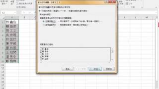 Excel 資料剖析將文字分割至不同的儲存格 [upl. by Artemisa]