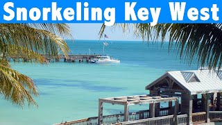 Snorkeling In Key West Reefs and Marine Life  All You Need To Know In 4 Minutes [upl. by Emlynne]