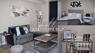 My Small Apartment Tour😭  AFFORDABLE Minimal  Modern Decor [upl. by Emmey]