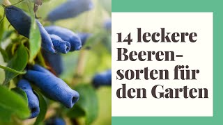 14 leckere Beerensorten die im eigenen Garten nicht fehlen dürfen [upl. by Cordalia29]