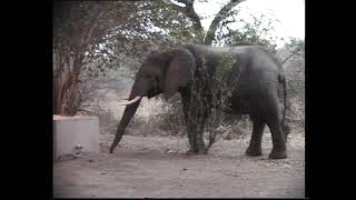 GUERBA 2000  TANZANIA  MALAWI ETOSHA BRIEFLY [upl. by Connell]