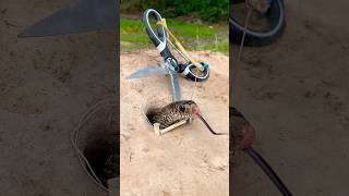 DIY Snake Trap shortvideo pestcontrol shorts [upl. by Eudora]