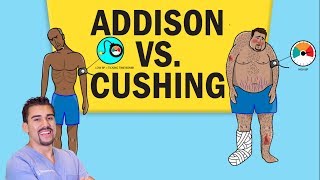 Addisons vs Cushings Disease for NCLEX RN [upl. by Flossi447]