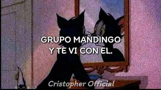 Grupo Mandingo  Y te vi con el Letra [upl. by Aryek876]