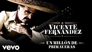 Vicente Fernández  Un Millón de Primaveras LetraLyrics [upl. by Rayford727]