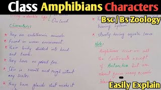 Class Amphibia  General Characteristics And Classification Of Amphibians  Class Bsc Zoology [upl. by Raycher]