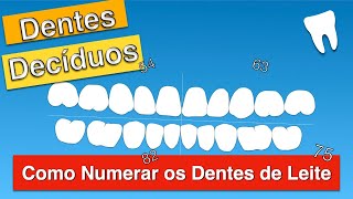 Numeração dos Dentes DecíduosCurso de ASB [upl. by Chester]