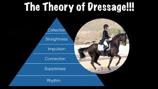 The Theory of Dressage [upl. by Yahsram]