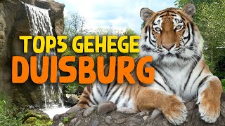 Die 5 besten Gehege im Zoo Duisburg [upl. by Ykvir253]