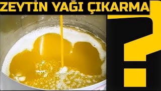 Zeytin Yağı Nasıl Çıkartılır [upl. by Elo]