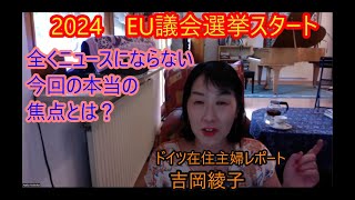 【EU欧州議会選挙】日本ではほとんど報道されない、今回の選挙の本当の争点とは？ [upl. by Yznyl]