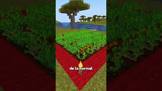 La mejor forma de hacer cultivos en Minecraft 🧐 [upl. by Gnud]