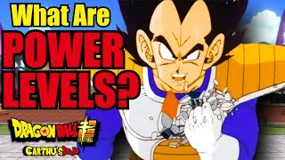 What Are POWER LEVELS Dragon Ball Theory [upl. by Hnirt]