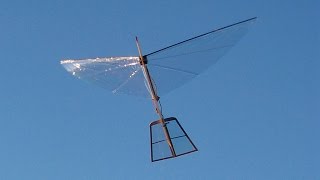 Servo Powered Ornithopter  S1 Robotic Bird  Build from Easy DIY Kit [upl. by Aibos]