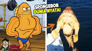 Aslinya Beneran Kekar Inilah Karakter Film SpongeBob di Dunia Nyata [upl. by Ahrat]