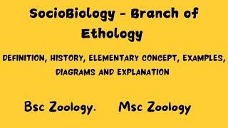 Sociobiology  Branch of Ethology bsczoology msczoology ethology [upl. by Buttaro]