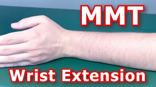 Manual Muscle Testing MMT  Wrist Extension [upl. by Deeanne]