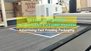 PK1209 Automatic Intelligent Cutting System [upl. by Wheeler463]