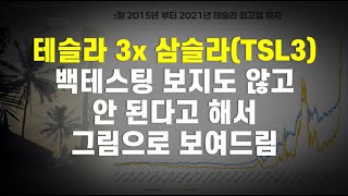 테슬라 3배 레버리지 삼슬라 TSL3 장기투자가 성공 할 수도 있다는 걸 그림으로 보여드립니다 [upl. by Einhpets]