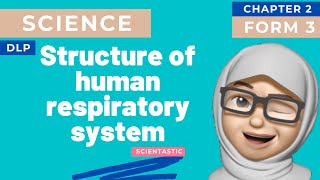 SCIENCE  KSSM DLP  FORM 3  CHAPTER 2 RESPIRATION  21 STRUCTURE OF HUMAN RESPIRATORY SYSTEM [upl. by Clougher502]