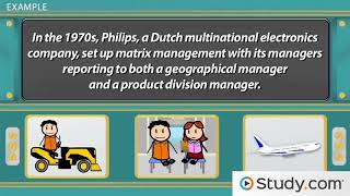 Matrix Organizational Structure amp Examples [upl. by Ffoeg596]