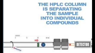 How HPLC Columns Work [upl. by Bazil973]