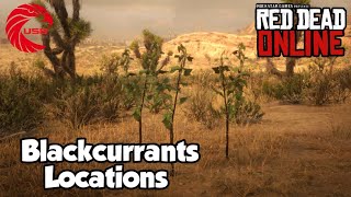 Blackcurrants Locations rdr2 Online  Red Dead Online Blackcurrants Location Guide [upl. by Mialliw]