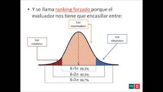 Evaluación Desempeño LIBERBANK [upl. by Dorsy544]