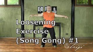 FREE Loosening Exercise Song Gong 1 INSTRUCTIONS from DiscoverTaijicom by sifu Adam Mizner [upl. by Aborn]