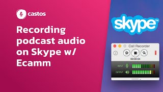 Audio recording with Skype Call Recorder 🎤 [upl. by Ekeiram]