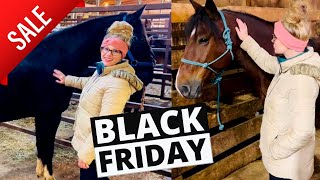 OFF TO THE BLACK FRIDAY HORSE AUCTION [upl. by Inele]