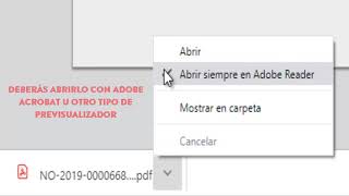 Cómo previsualizar un Archivo Embebido en un GEDO utilizando Acrobat Reader [upl. by Salvatore439]