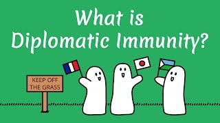 What is Diplomatic Immunity [upl. by Arymahs946]