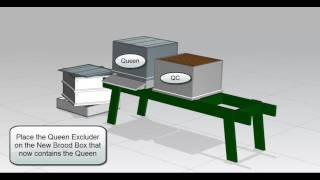 Swarm Control using the Demaree Method [upl. by Anyak]