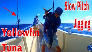 Slow Pitch Jigging Yellowfin Tuna  Tackle and Gear  JohnnyJigs  Offshore Fishing [upl. by Atirma291]