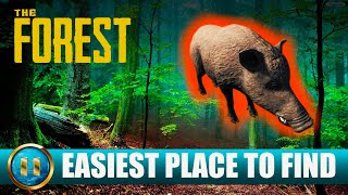 THE FOREST  Where to find BOAR Easiest Spot 2024 [upl. by Capps]