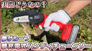 【検証】夢グループのハンディチェーンソーがヤバかった！ [upl. by Hump]