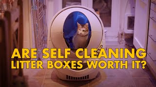 Are SELF CLEANING litter boxes WORTH IT [upl. by Itnahs]