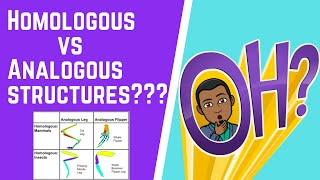 Homologous vs Analogous Structures 101 [upl. by Falo]