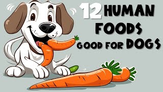 12 Human foods that are good for dogs [upl. by Carita162]